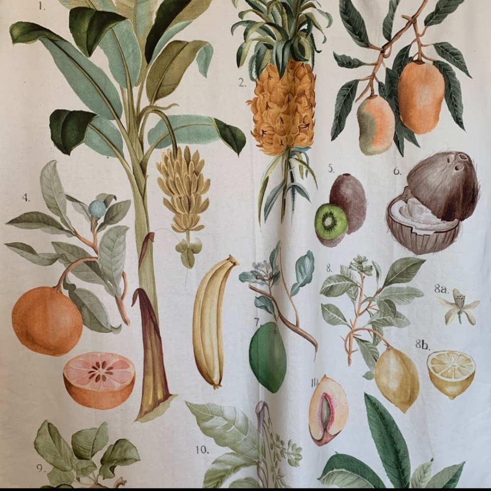 Urban outfitters fruit tapestry